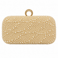 Luxury Ring Clasp Evening Clutch Bag